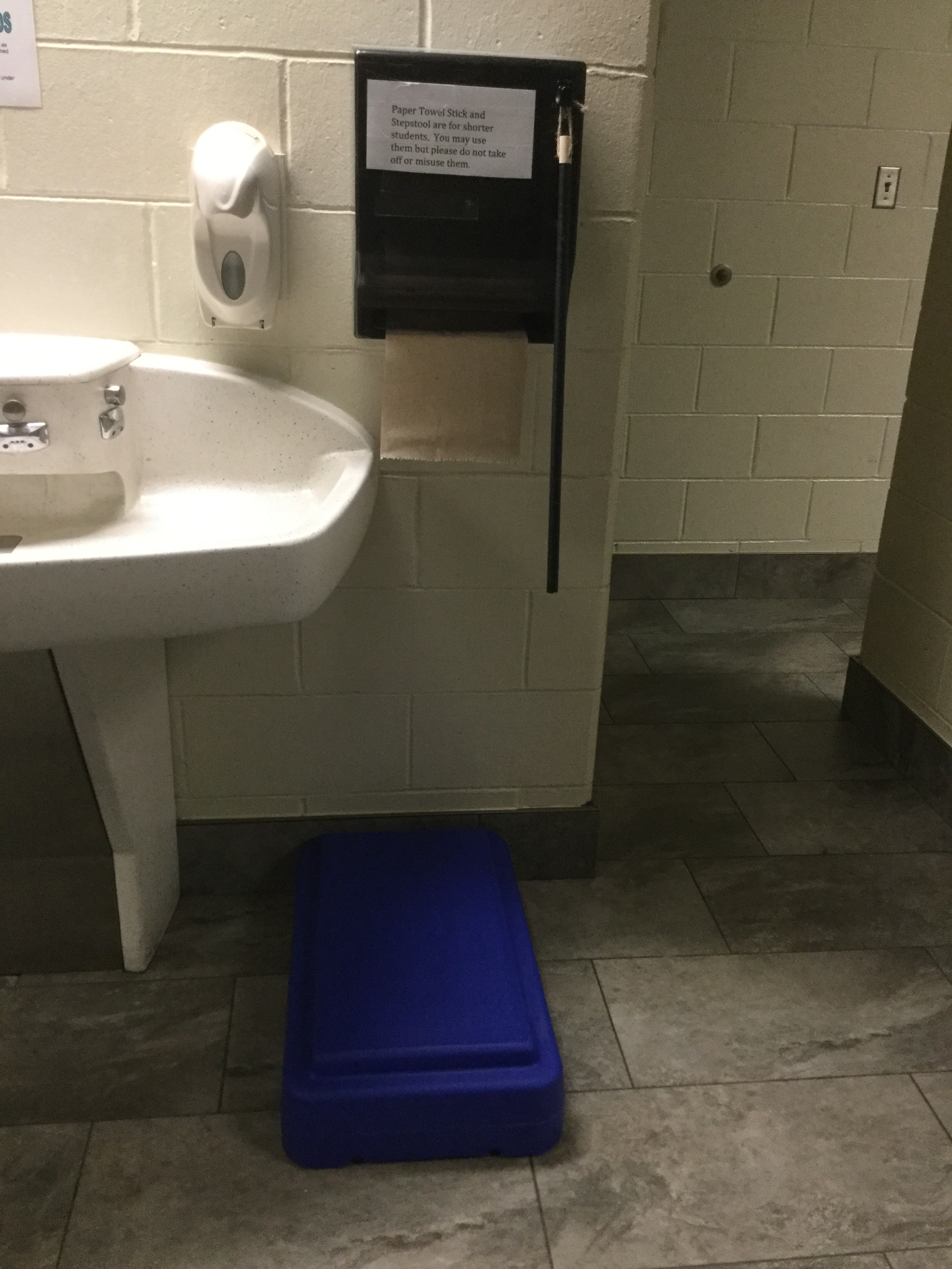 Bathroom accommodation for a child with short stature